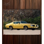 Металлическая табличка Oldsmobile Cutlass Rallye 350